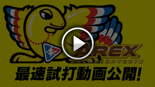解説動画