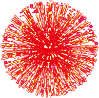 hanabi