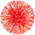hanabi