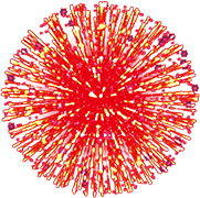 hanabi